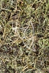 Jiao Gu Lan Tee - Herba Gymnostemmae pentaphyllum