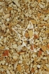 Orangenschalen - Pericarpium Aurantii