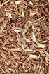 Rotwurzelsalbei - Radix Salviae miltiorrhizae